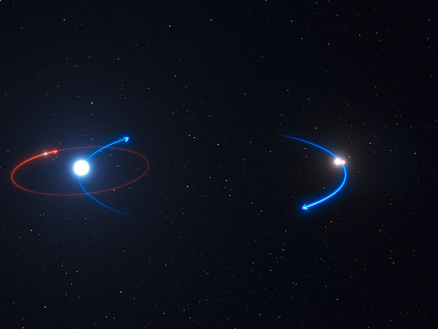 Starlink