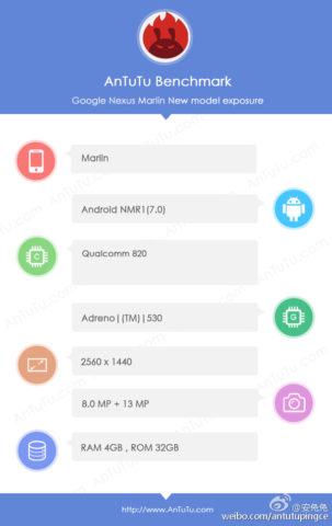 Nexus Marlin e Sailfish