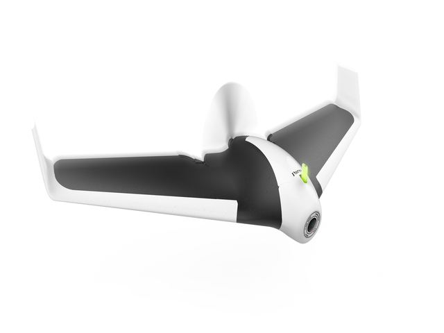 Parrot Disco