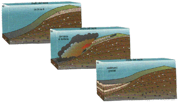 Terremoto in Centro Italia