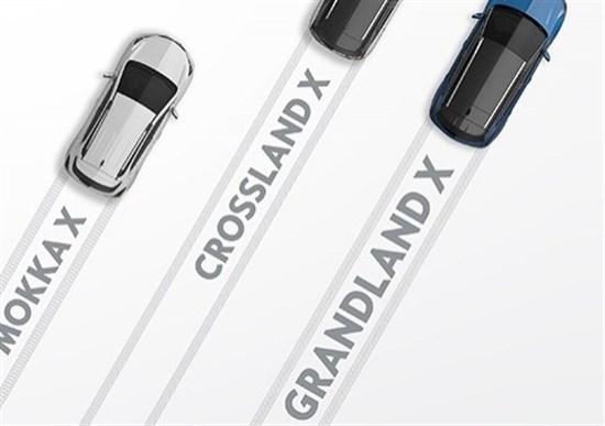 Grandland X