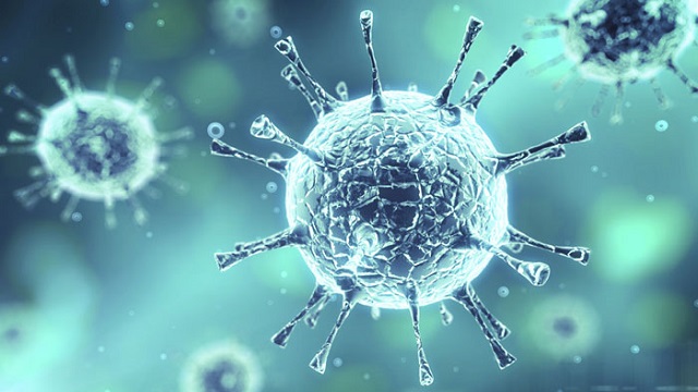 Virus CCHFV
