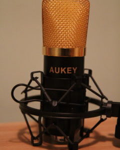 Auke GD-D1
