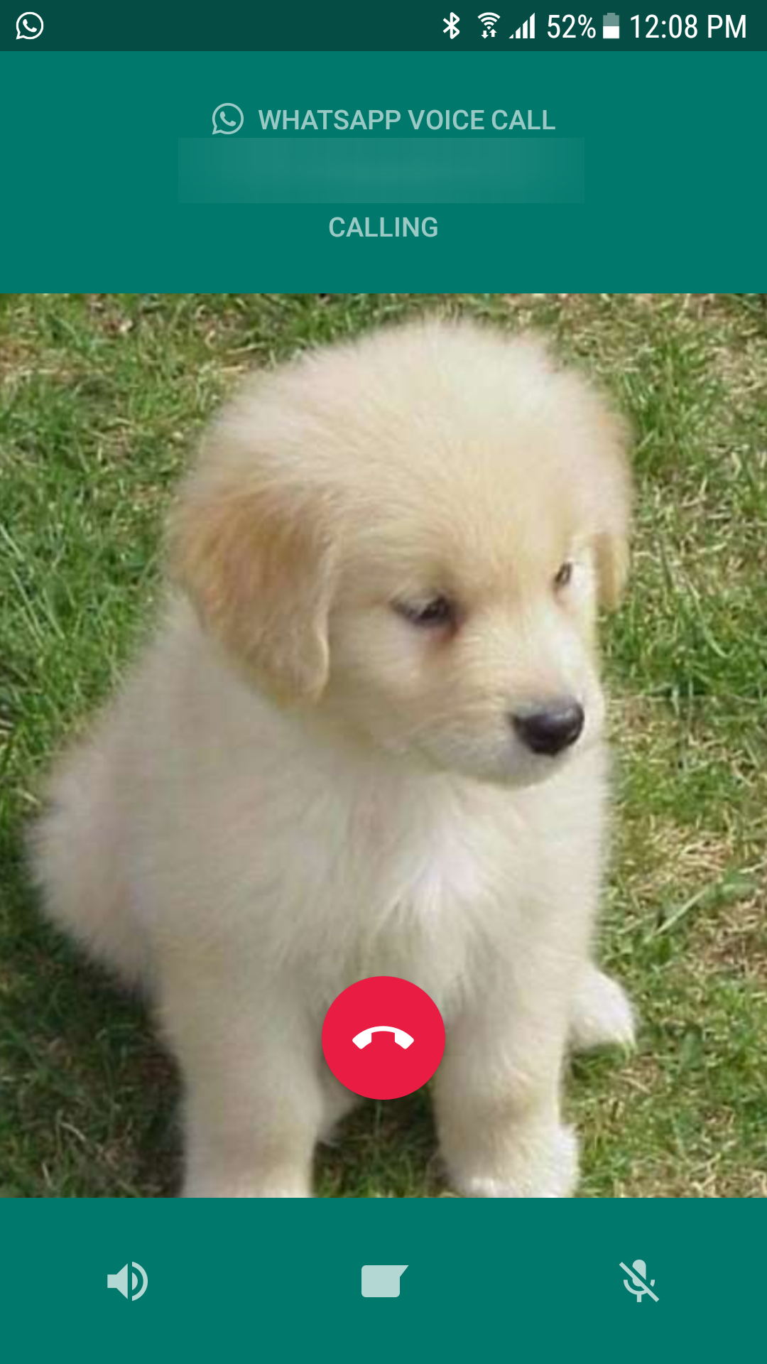 Finalmente anche WhatsApp permette di inviare ogni tipo di file