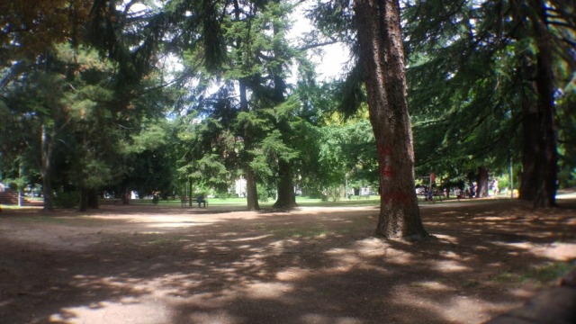 Wide Angle