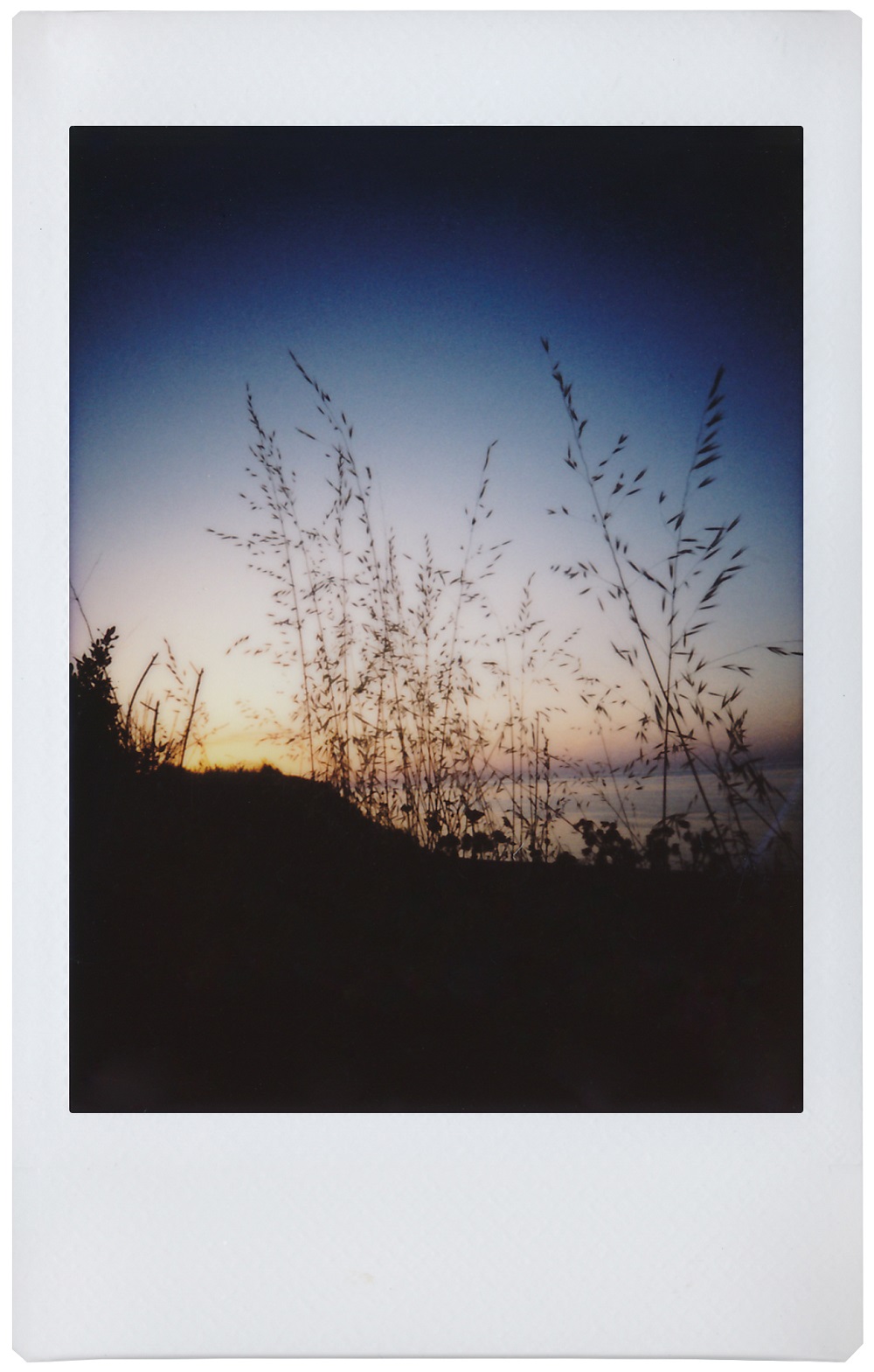 Lomo’Instant