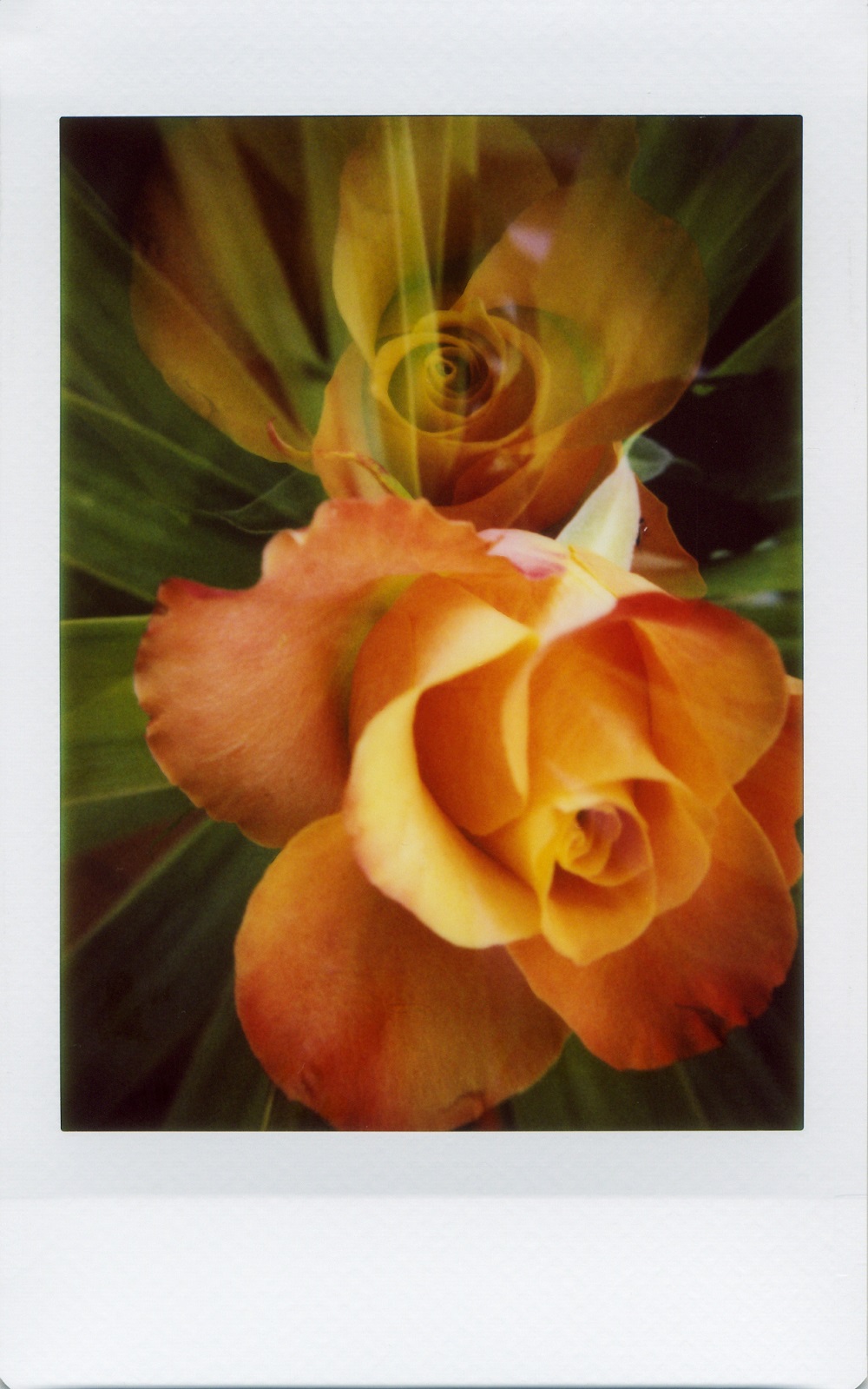 Lomo’Instant