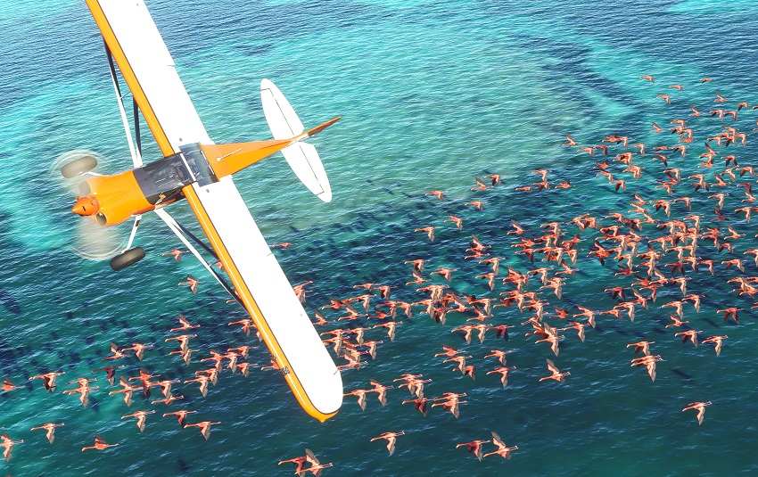 Microsoft Flight Simulator