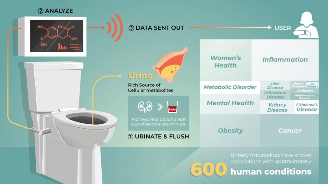 Smart Toilet