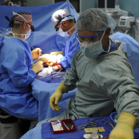 Straordinario: umani messi in animazione