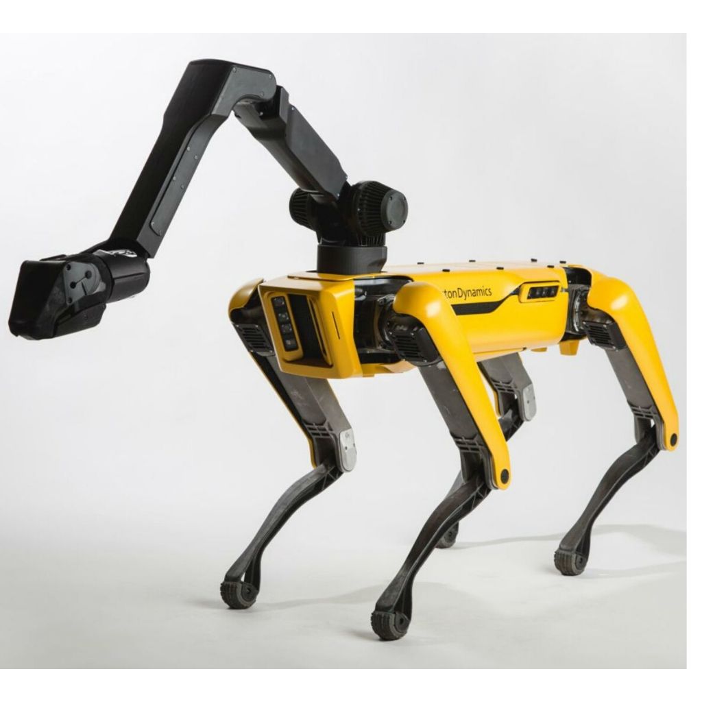 Cane robot Spot: aiuto