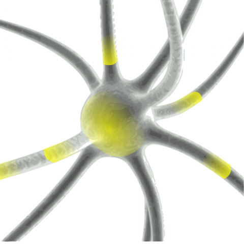 Una svolta: neuroni artificiali per curare le malattie