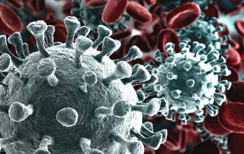 2019-nCoV Coronavirus