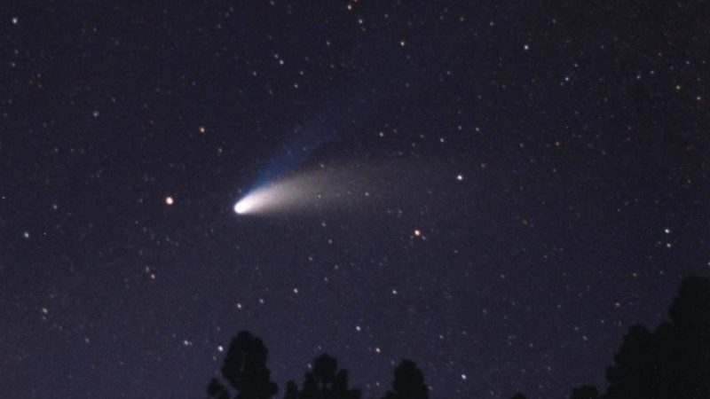 Cometa Atlas Y4